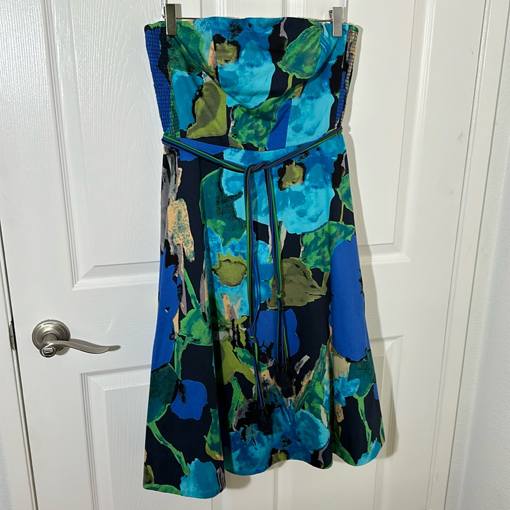 Anthropologie Vanessavirginia Dress 10